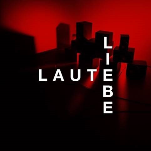 +++ Neue Single von Joel Brandenstein "Laute Liebe" +++